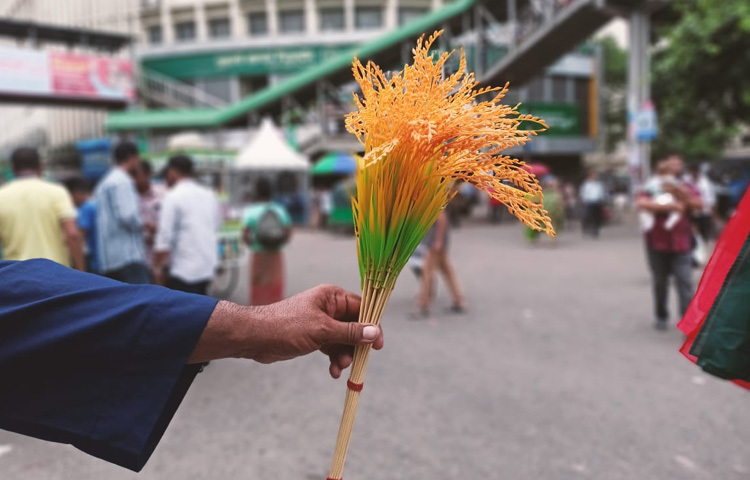 ছাত্রদলের কেন্দ্রীয় নেতারা বলছেন, এটি শুধুই একটি রাজনৈতিক সমাবেশ নয়, বরং স্বৈরাচারবিরোধী লড়াইয়ে ছাত্রসমাজের দৃপ্ত পদচারণার প্রতীক। স্লোগান ও একাত্মতার এই চিত্র সেই বার্তাই দিচ্ছে।