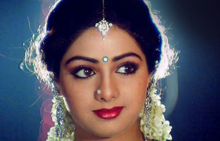 ‘চাঁদনী’, ‘মমতা’, ‘হাম’ এবং ‘ইংলিশ ভাইভা’ সহ অসংখ্য সিনেমা তার অভিনয় প্রতিভার সাক্ষ্য বহন করে।