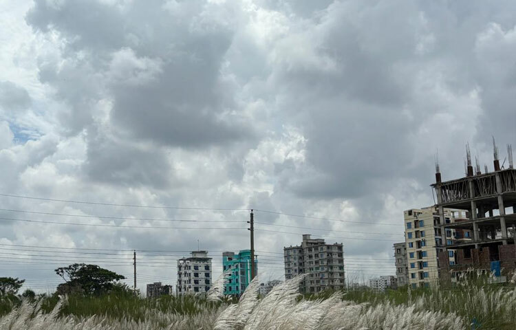 শরতের কাশফুল আর আকাশ শুধু প্রকৃতির রূপ নয়, গ্রামীণ জীবনের আনন্দও বটে। এই সময়ই অনুষ্ঠিত হয় শারদীয় দুর্গাপূজা, যার আবহ কাশবন আর নীল আকাশের সাথে যেন মিশে যায়। মাঠের শিশুরা কাশফুল হাতে খেলতে থাকে, আবার তরুণ-তরুণীরা শরতের এই সৌন্দর্যকে কবিতা, গান আর ছবিতে ধারণ করে রাখে।