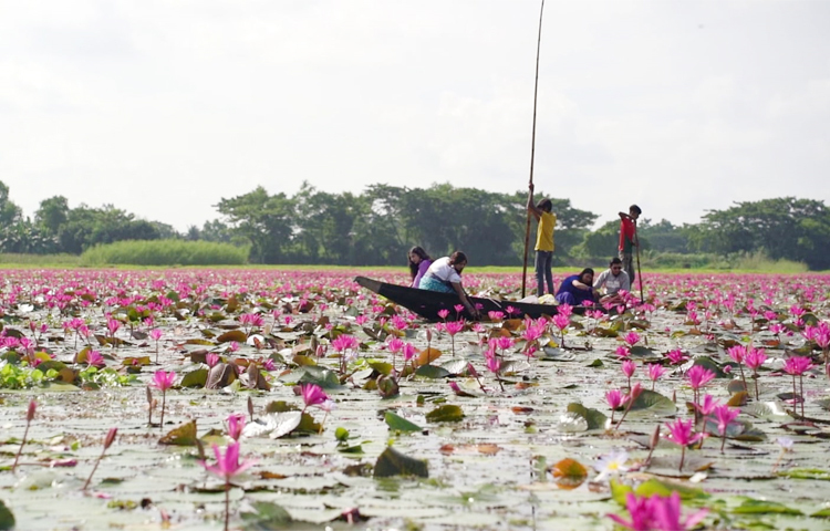 গোপালগঞ্জের উল্লেখযোগ্য বিলগুলো হলো—বলাকইর বিল, টুঙ্গিপাড়ার জোয়ারিয়ার বিল, কোটালীপাড়ার সাতলা ও কান্দি বিল, চরগোপালপুর বিল, গোপালগঞ্জ সদরের রঘুনাথপুর বিল এবং ধারাবাশাইল বিল প্রভৃতি।