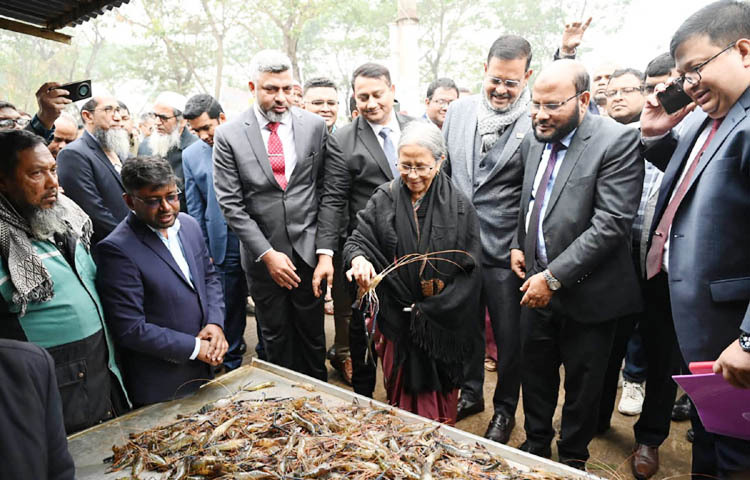 মৎস্য ও প্রাণিসম্পদ উপদেষ্টা ফরিদা আখতার আজ বাগেরহাটের ফকিরহাটে ফলতিতা মৎস্য আড়ত পরিদর্শন করেন। ছবি: পিআইডি