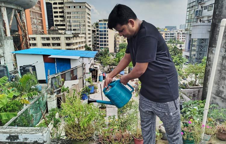 বাড়িওয়ালা বয়স্ক মানুষ হওয়ায় নিজে বাগান না করলেও অসীমকে বাগান করার অনুমতি দিয়েছেন। অসীম বলেন, ‘বাড়িওয়ালা নিজেও গাছপালা পছন্দ করেন। তাই আমাকে গাছপালা করার অনুমতি দেন এবং তিনি নিজেও এই গাছপালা উপভোগ করেন।’ ছবি: মামুনূর রহমান হৃদয়