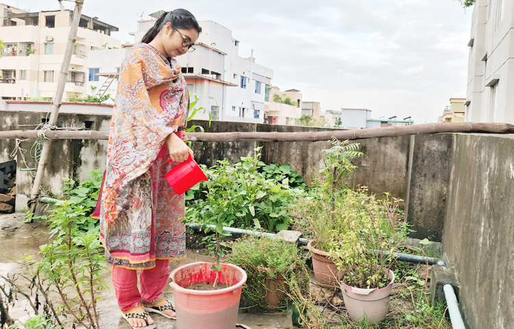নওগাঁর প্রকৃতিতে বিভিন্ন ধরনের সবজি চাষ করতে দেখেছেন সাকিলা। তিনি বলেন, ‘সেই দৃশ্য অনুভব করে আমিও ছাদে ছোট পরিসরে সবজি চাষ শুরু করেছি। মরিচ, মিষ্টি আলু আর বেগুন গাছ লাগিয়েছি। নিজের হাতে লাগানো সবজি তুলতে পারার অনুভূতিটা আমাকে নওগাঁর দিনগুলো মনে করিয়ে দেয়। তাজা, রাসায়নিকমুক্ত সবজি পাওয়া যায়, যা শরীরের জন্য খুবই স্বাস্থ্যকর।’ ছবি: মামুনূর রহমান হৃদয়