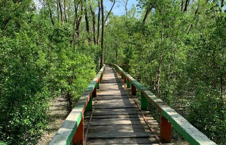 বরগুনা তার প্রাকৃতিক বৈচিত্র্যের কারণে পর্যটনের জন্য প্রচুর সম্ভাবনা তৈরি করেছে। এখানকার সমুদ্র সৈকত, নদী, বনাঞ্চল ও ঐতিহাসিক স্থানগুলো উন্নয়নের মাধ্যমে বরগুনাকে দেশের অন্যতম জনপ্রিয় পর্যটন কেন্দ্রে পরিণত করা সম্ভব।