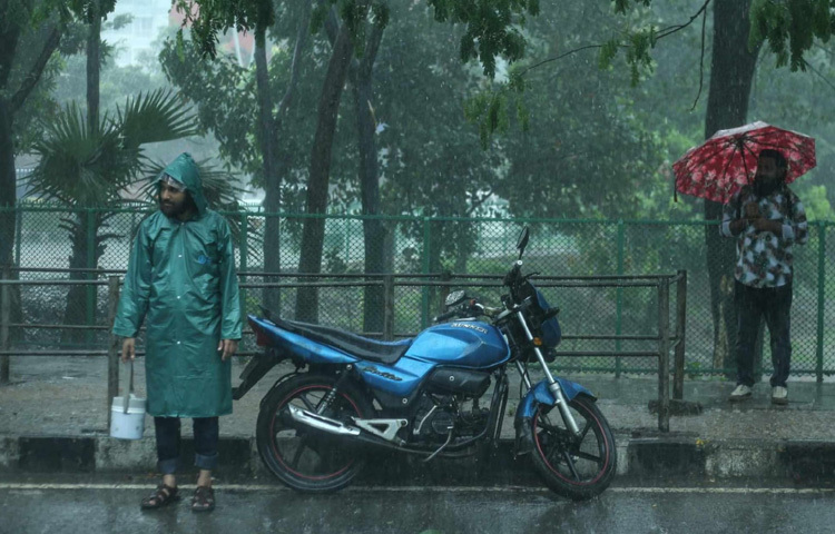 বৃষ্টিতে প্রকৃতি সতেজ হয়েছে, তবে শহরজীবনের গতি থমকে গেছে।