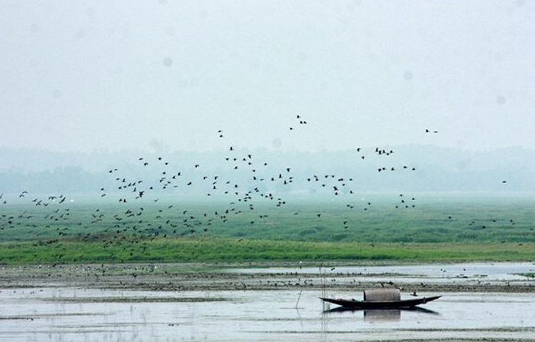 হাজার হাজার পাখি যখন কিচির-মিচির করে তখনই সৃষ্টি হয় নান্দনিক আবহ। তাই স্থানীয় বাদেও প্রতিদিন উকড়ি বিলে ভিড় করছেন অনেক ভ্রমণপ্রেমী। বিলটি ঘুরে দেখার জন্য আছে নৌকার ব্যবস্থা। যা দিয়ে খুব সহজেই বিলের একপ্রান্ত থেকে অপর প্রান্তে ঘুরে আসা যায়। বিলে পাখি দেখতে আসা মানুষরা যেমন খুশি, তার চেয়ে বেশি খুশি গ্রামবাসী। ছবি: মামুনূর রহমান হৃদয়