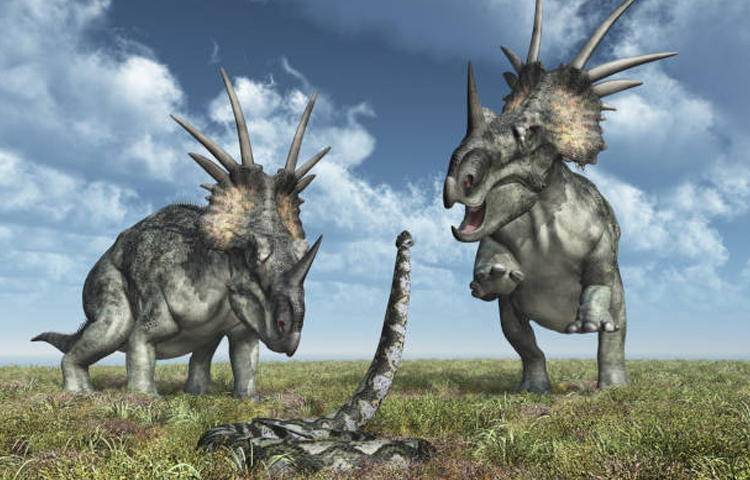 টাইটানোবোয়ার মাথার গঠন অন্যান্য সংকোচন-প্রসারণক্ষম অ্যানাকোন্ডার মতোই ছিল। তাদের নীচের চোয়াল মাথার খুলির পিছনের দিকে প্রসারিত হতো, যা তাদের মুখ অধিক পরিসরে নড়াচড়া করতে সাহায্য করত। ছবি: সংগৃহীত