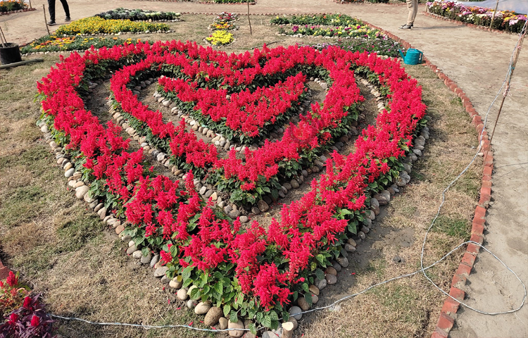 ফুল দিয়ে তৈরি করা হয়েছে ভালোবাসার প্রতীক ‘লাভ চিহ্ন’। ছবি: এম মাঈন উদ্দিন