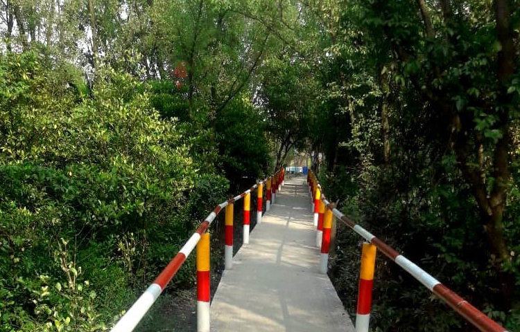 জেলা সদর থেকে প্রায় ৩৫ কিলোমিটার দূরে ইছামতি নদীর তীরে শিবনগর মৌজায় প্রায় ১৫০ একর জমি জুড়ে গড়ে তোলা হয়েছে বিনোদন কেন্দ্রটি। এটি উপজেলার ‘রূপসী দেবহাটা ম্যানগ্রোভ পর্যটন কেন্দ্র’ নামে পরিচিত। ছবি: আহসানুর রহমান রাজীব