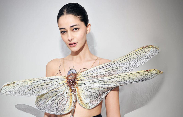 অনন্যার শেয়ার করা পোস্টে ভালোবাসা জানাতে ভুলেননি তার ভক্ত-অনুরাগীরা। ছবি: অনন্যা পান্ডের ফেসবুক আইডি থেকে