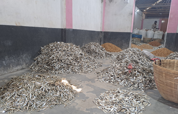 আরও প্রচলিত আছে, ভিনদেশের বণিকদের মনোরঞ্জনের জন্য হাটের কাছাকাছি একটি যৌনপল্লি ও পানশালা তৈরি করা হয়। বিদেশি বণিকরা এখানে থাকা নারীদের ‘রানী’ বলে সম্বোধন করতেন। একসময় এটি ‘রানীর হাট’ নামে পরিচিতি লাভ করে এবং কালক্রমে এটির নামকরণ করা হয় ‘রানীগঞ্জ হাট’। ছবি: নাসিম উদ্দিন