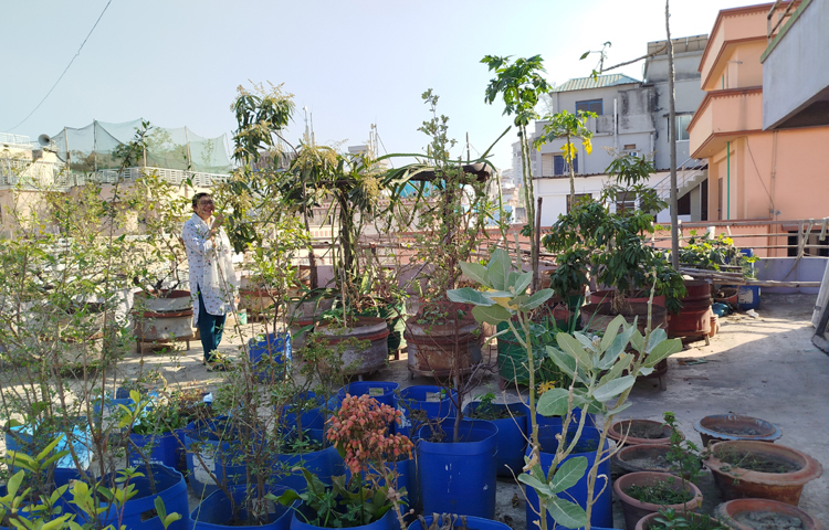 এশা বলেন, আমার বাবা সরকারি চাকরি করতেন। সেই সুবাদে রাজধানীর বাইরে আমি বেশি থেকেছি। বাবাকে দেখতাম অনেক সবজির বাগান করতেন। শীতের সময় রং-বেরঙের ফুল গাছ লাগাতেন। এসব দেখতে দেখতে নিজেরও শখ জাগে, আমার নিজের বাগান থাকবে। বারান্দা-ছাদে সুন্দর সুন্দর গাছ লাগাবো। ছবি: মামুনূর রহমান হৃদয়