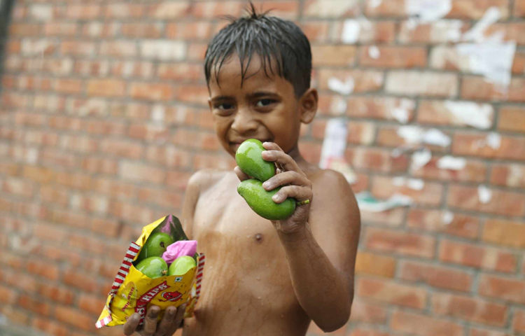 ঝড়ের মধ্যেই আম কুড়াতে বের হয়েছিল শিশুরা। ছবি: মাহবুব আলম