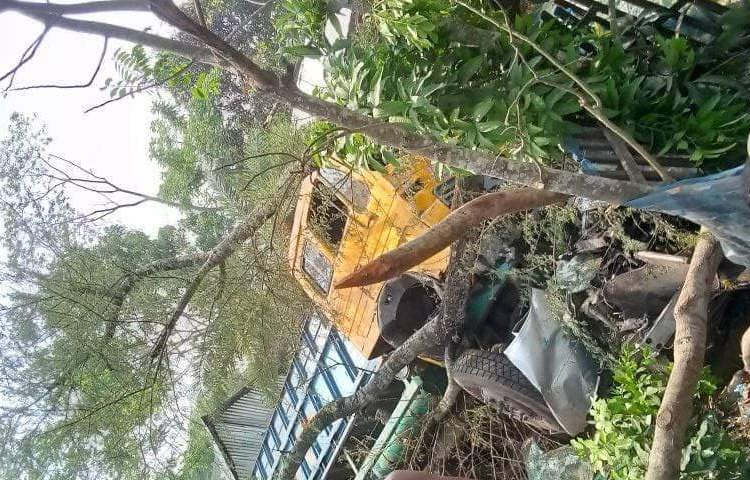 স্থানীয়রা জানান, দুপুর ২টার দিকে রাজাপুর থেকে বরিশালের দিকে যাচ্ছিল সিমেন্টবোঝাই একটি ট্রাক। গাবখান সেতু থেকে নামার সময় ট্রাকটি নিয়ন্ত্রণ হারায়। পরে টোলপ্লাজায় অবস্থানরত একটি মাইক্রোবাস ও অটোরিকশাকে ধাক্কা দিয়ে নিয়ে খাদে পড়ে। ছবি: আতিকুর রহমান