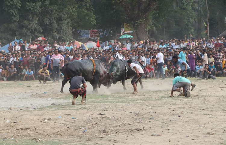 ২৩ এপ্রিল শহরের কুড়ির ডোব মাঠে দুপুর থেকে সন্ধ্যা পর্যন্ত চলে এ প্রতিযোগিতা। ছবি: হাফিজুল নিলু