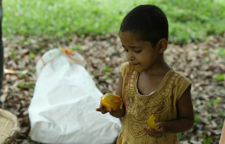 এরই মধ্যে বাজারে উঠতে শুরু করেছে পাকা রসালো আম। শুরু দিকে এই আম বেশ ভালো দামে বিক্রি করছেন বিক্রেতারা। ছবি: মাহবুব আলম