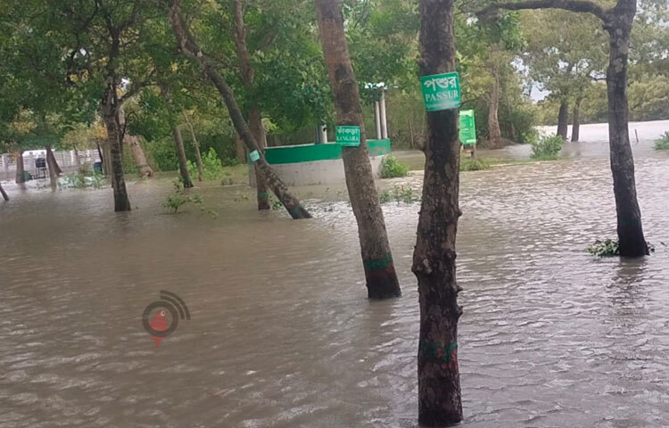 পানির চাপ আরও বাড়বে বলে জানিয়েছেন পূর্ব সুন্দরবন বিভাগের করমজল বন্যপ্রাণী প্রজনন কেন্দ্র ও পর্যটন কেন্দ্রের কর্মকর্তা আজাদ কবির। ছবি: আবু হোসাইন সুমন