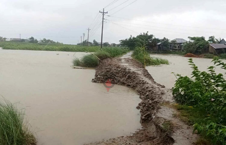 রোববার মধ্যরাত থেকে চাঁদপুর-ঢাকাসহ সব নৌরুটে নৌযান চলাচল বন্ধ রয়েছে। ছবি: শরীফুল ইসলাম