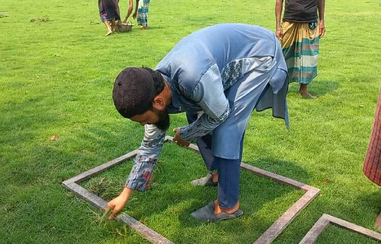 বাণিজ্যিকভাবে লন কার্পেট ঘাস উৎপাদন করছেন এই তরুণ। ছবি: শরীফুল ইসলাম