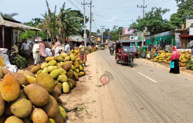 খাগড়াছড়ির বিভিন্ন বাজরে সবচেয়ে বড় জায়গা দখল করেছে মৌসুমি ফল কাঁঠাল। পাহাড়ের অর্থনীতিতে বড় ভূমিকা রাখছে জাতীয় ফল কাঁঠাল। ছবি: মুজিবুর রহমান ভুইয়া