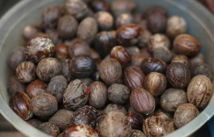 অন্যান্য মসলা কেজি হিসাবে বিক্রি হলেও জয়ফল বিক্রি হচ্ছে পিস হিসাবে। প্রতি পিস জয়ফলের দাম ৮ টাকা। ছবি: মাহবুব আলম