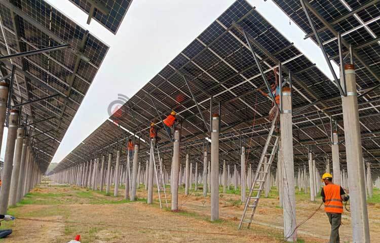 ভূমি থেকে প্রায় ১০ ফুট উঁচু পিলারের ওপর সোলার প্যানেলগুলো বসানো হয়েছে। এখান থেকে ৬৮ মেগাওয়াট বিদ্যুৎ উৎপাদন হবে। ছবি: এম এ মালেক