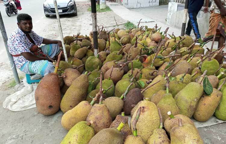 পাইকাররা এখান থেকে কম দামে কাঁঠাল কিনে নিয়ে যান দেশের বিভিন্ন স্থানে। ছবি: আলমগীর হান্নান