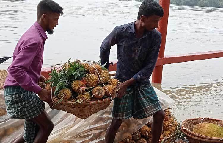 রসালো আনারসের জন্য পরিচিতি পেয়েছে পাহাড়ের সীমান্তবর্তী গ্রাম হাসাউড়া। এ গ্রাম ছাড়াও আশেপাশের চারটি গ্রামের মানুষ আনারস চাষ করেন। মূলত হাসাউরা, পেচাকোনা, বানাইগাঁও, দর্পগ্রাম, মাঠগাঁও গ্রাম মিলে আছে শতাধিক পাহাড়ি পতিত টিলা। হাসাউরা থেকে শুরু হয়ে এ টিলা শেষ হয় মাঠগাঁও গিয়ে। ছবি: লিপসন আহমেদ