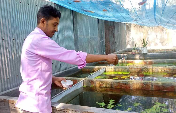 ‘রঙিন মাছের খামার নীলফামারী’ নামের একটি ফেসবুক পেইজও রয়েছে তরুণ এই উদ্যোক্তার। ছবি: ইব্রাহিম সুজন