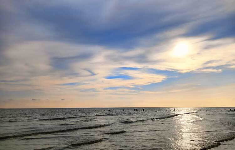 সবুজ গালিচা বিছানো ছোট ছোট গাছের টিলার মাঝখান দিয়ে এঁকে-বেঁকে গেছে সরু নালা। এই নালাগুলো জোয়ারের সময় পানিতে ভরে উঠে। ছবি: এম মাঈন উদ্দিন ছবি: এম মাঈন উদ্দিন