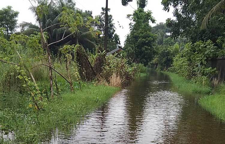 মঙ্গলবার সকাল ৬টা পর্যন্ত গত ২৪ ঘণ্টায় মাইজদী শহরে ১৭৪ মিলিমিটার বৃষ্টিপাত রেকর্ড করা হয়েছে। এর আগে সোমবার দুপুর ১২টা পর্যন্ত গত ২৪ ঘণ্টায় ৯৬ মিলিমিটার বৃষ্টিপাত রেকর্ড করা হয়। ছবি: ইকবাল হোসেন মজনু
