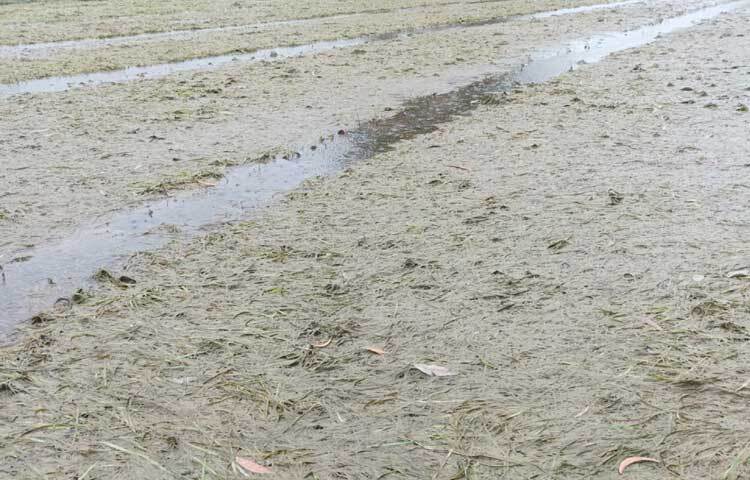 এছাড়া প্লাবিত হয়েছে উপজেলার নিম্নাঞ্চল। ছবি: এম মাঈন উদ্দিন