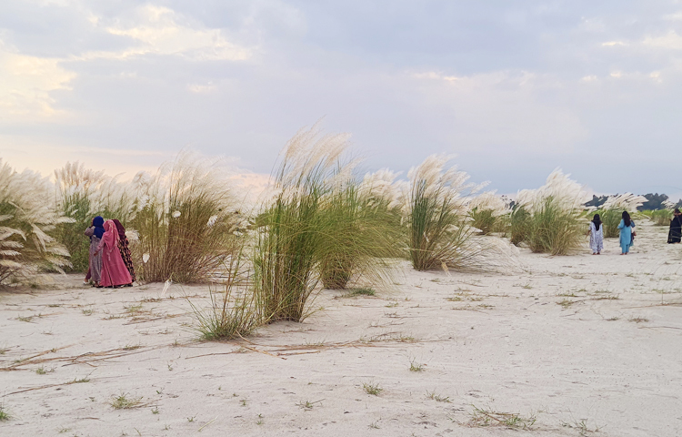 হঠাৎ মনে হবে, সেখানে সাদা চাদর বিছানো। দক্ষিণ আকাশে তখন কিছু মেঘ জমেছে। থেমে থেমে মেঘও ডাকছে। নদের বুক ছুঁয়ে শীতল হাওয়া ভেসে আসছে কাশের বনে। হাওয়ায় দুলছে, নেচে উঠছে কাশফুল। ছবি: এম এ মালেক