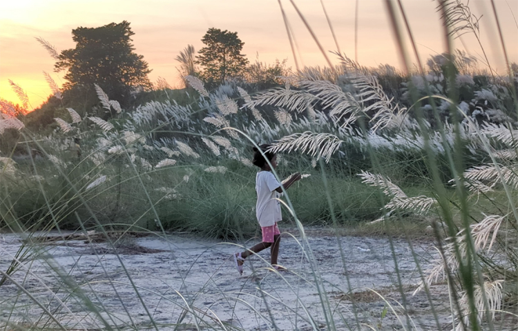 যান্ত্রিক জীবনের ফাঁকে একটু প্রকৃতির ছোঁয়া ও সবুজঘেরা পরিবেশের পাশাপাশি প্রতিদিন এখানে আসেন শত শত মানুষ। সারি সারি সাদা কাশফুল তাদের মন ছুঁয়ে যায়। যতদূর চোখ যায় শুধু সাদা আর সাদা। ছবি: আব্দুর রহমান আরমান