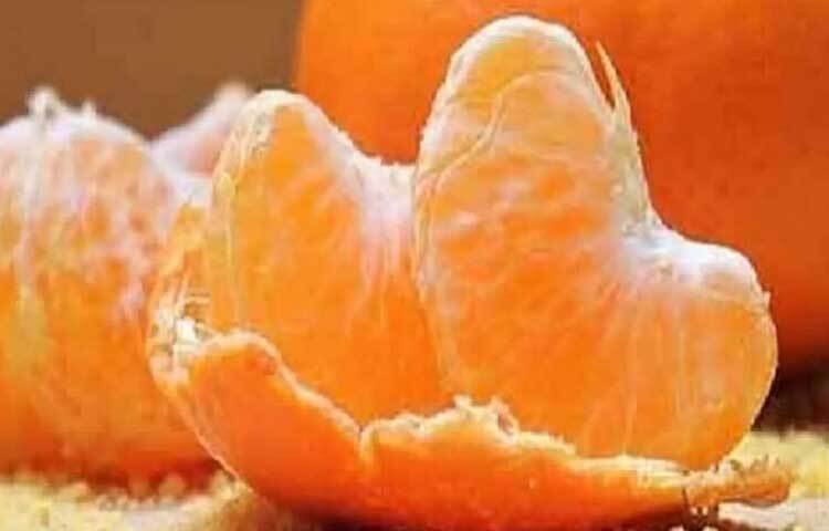 পুষ্টি বিশেষজ্ঞরা বলেন, কমলার কোয়া ও খোসা দুটোই পুষ্টিতে ভরপুর। এতে রয়েছে ভিটামিন-সি, ভিটামিন-এ, ফ্ল্যাভনয়েড, অ্যান্টি-অক্সিডেন্ট, ক্যালসিয়াম, ম্যাগনেসিয়াম, পটাসিয়াম ও ডায়েটারি ফাইবার। মানবদেহে রোগ প্রতিরোধ ক্ষমতা বা ইমিউনিটি সিস্টেম মজবুত করে তুলতে কমলা দারুণ উপকারী।