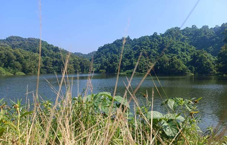 অপরূপ সৌন্দর্যের আরেক নাম মিরসরাইয়ের বাওয়াছড়া কৃত্রিম লেক। ঝরনার পানির কলকল ধ্বনি, সবুজ গাছের বেষ্টনী। পরিযায়ী পাখিদের আগমন।