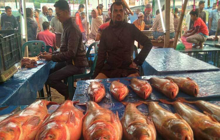 মেলায় ঢুকেই সারি সারি দোকানগুলোতে চোখে পড়ে মন-জুড়ানো সব মাছের পসরা। দূরদূরান্ত থেকে বিক্রেতারা এসেছেন মাছ বিক্রির জন্য।