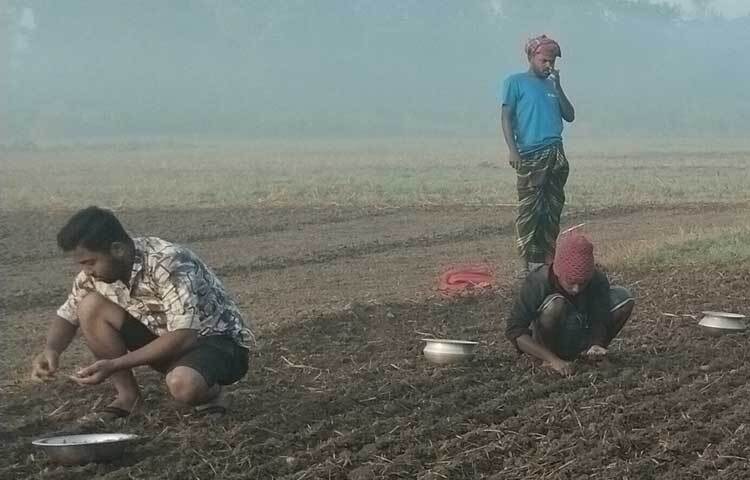 জেলা কৃষি অফিসের দেওয়া তথ্যমতে, চলতি মৌসুমে মানিকগঞ্জে পেঁয়াজ আবাদের লক্ষ্যমাত্রা ৭ হাজার ৩৫ হেক্টর। এরই মধ্যে ১ হাজার ৩০৮ হেক্টর জমিতে পেঁয়াজের আবাদ সম্পন্ন হয়েছে। গত বছর জেলায় পেঁয়াজের আবাদ হয়েছিল ৭ হাজার ৩৫ হেক্টর জমিতে। এ বছর লক্ষ্যমাত্রা ছাড়িয়ে যাবে বলেও আশা করছেন তারা।