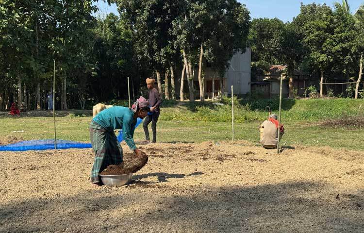 প্রায় ৯০-১১০ দিন সময়ের মধ্যে জিরা মারাই করার উপযুক্ত হবে। সফলতা পেলে চাষের পরিধি বাড়াবেন বলে জানিয়েছেন এই উদ্যোক্তা।