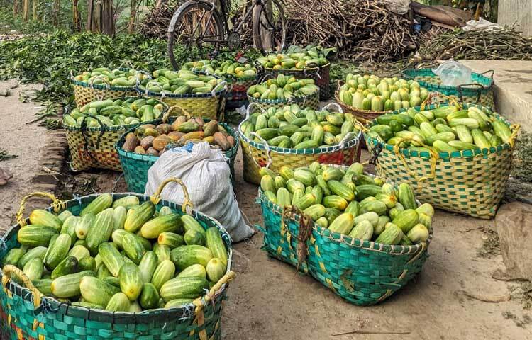 এরই মধ্যে খৈয়াছড়ার ক্ষিরার খ্যাতি ছড়িয়ে পড়েছে পাশের কয়েকটি জেলায়। স্বাদে-গন্ধে অন্য এলাকার ক্ষিরার চেয়ে বেশ আলাদা খৈয়াছড়ার মিষ্টি ক্ষীরা।