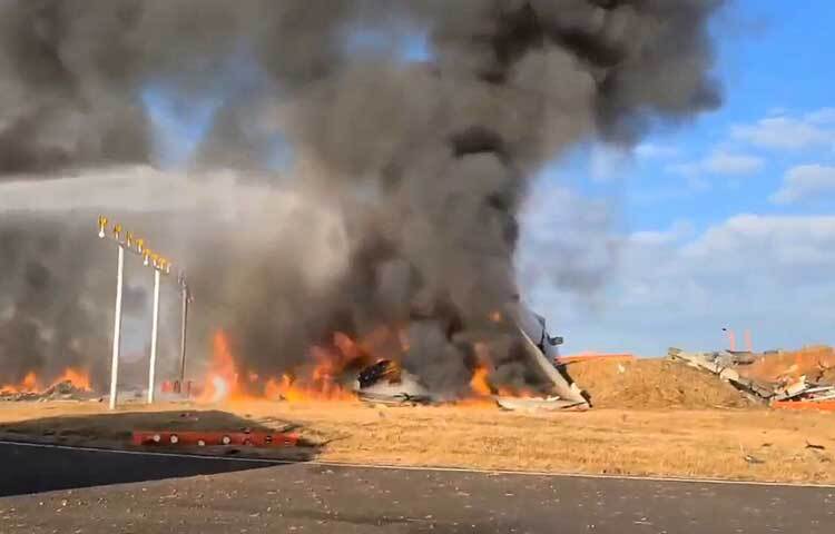 যাত্রীদের মধ্যে ১৭৩ জন দক্ষিণ কোরিয়ার আর দুজন থাইল্যান্ডের নাগরিক।