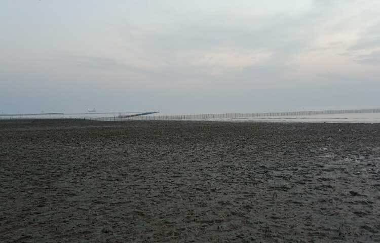 লাল কাঁকড়ার দৌড়াদৌড়ি আর সূর্যাস্তের দৃশ্য দেখতে দেখতে হারিয়ে যেতে পারেন কল্পনার সাগরে। মনোমুগ্ধকর এ স্থানের নাম ‘গুলিয়াখালী সমুদ্রসৈকত’।