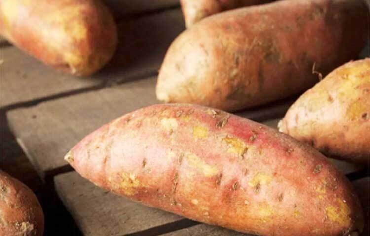 মিষ্টি আলুতে আছে বিটা-ক্যারোটিন। এটি এক প্রকার ভিটামিন এ। এই বিটা-ক্যারোটিন দেহে রোগ প্রতিরোধ ক্ষমতা উন্নত করতে সাহায্য করে। পাশাপাশি দেহে ফ্রি র‌্যাডিকেলের দ্বারা তৈরি হওয়া সেলুলার ক্ষতির ঝুঁকি কমায়।