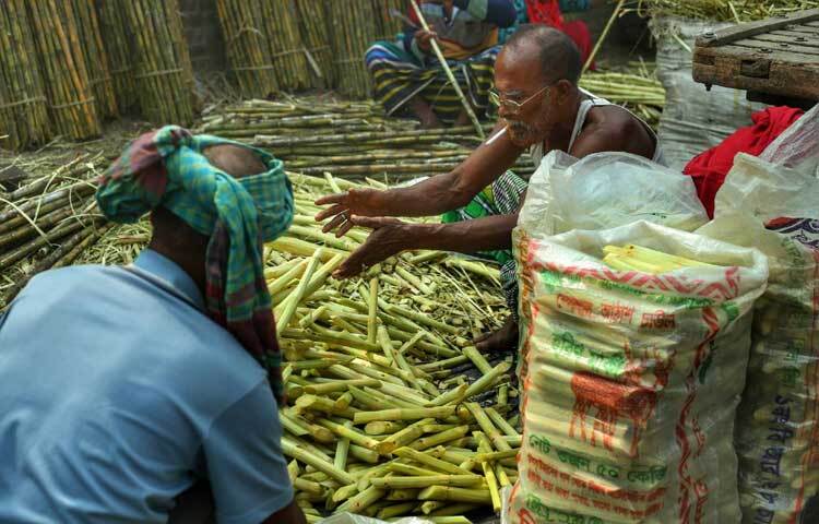 বাজারে এক আটি আখ বিক্রি হচ্ছে এক হাজার টাকায়। তবে ছোলা ছাড়িয়ে নিলে ক্রেতাদের আরও ১০০ টাকা বেশি গুণতে হচ্ছে।
