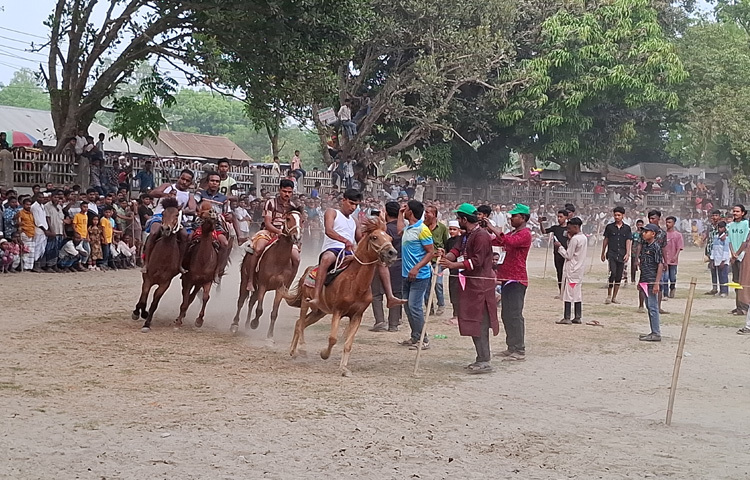 ৩১ মার্চ বিকেলে সদর উপজেলার দ্যাইনা ইউনিয়নের চিলাবাড়ি স্কুল মাঠে এ আয়োজন করে ইউনিয়ন ঘোড়দৌড় কমিটি।