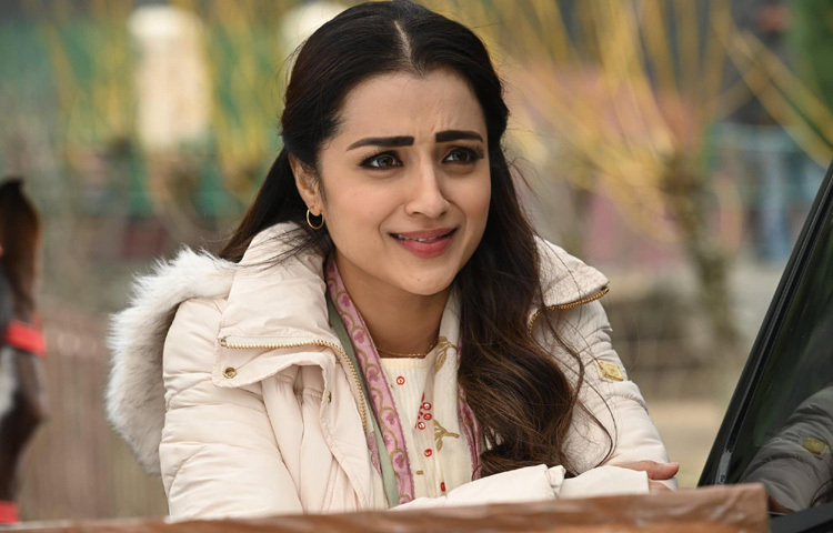 এরপর চলচ্চিত্র জগতে পা রাখেন তৃষা।