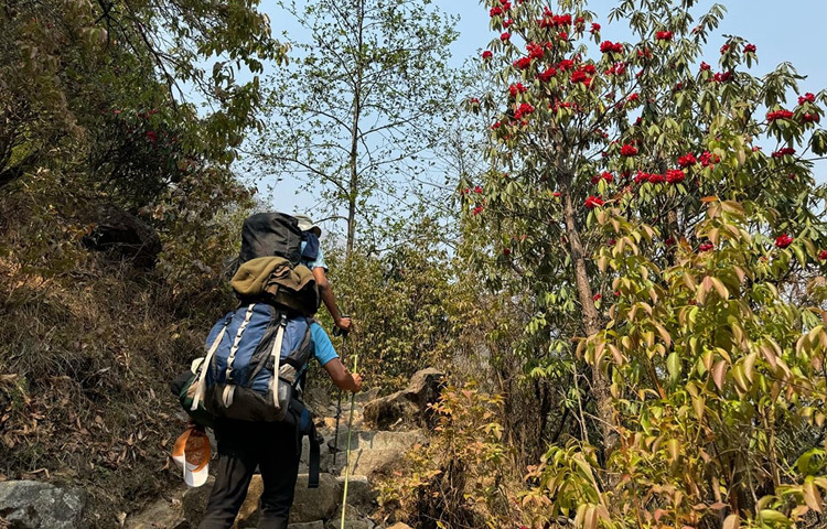 প্লাস্টিক দূষণ বিষয়ে জনসচেতনতা, কার্বন নিঃসরণ হ্রাস এবং পরিবেশ রক্ষায় টেকসই সমাধানের গুরুত্ব তুলে ধরতে এ অভিযান শুরু করেন এই পর্বতারোহী। এর আগে শাকিল প্রথম বাংলাদেশি হিসেবে গ্রেট হিমালয়ান ট্রেইল সফলভাবে সম্পন্ন করেন। যা বিশ্বের ৩৩ জন পর্বতারোহী এখন পর্যন্ত সম্পন্ন করতে পেরেছেন।