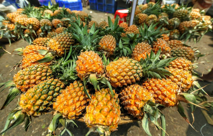 শুধু আম-লিচুই নয়, রয়েছে আনারস ও কাঁঠালের বাহার। টাটকা আনারস বিক্রি হচ্ছে ৩০ টাকা পিস দরে।