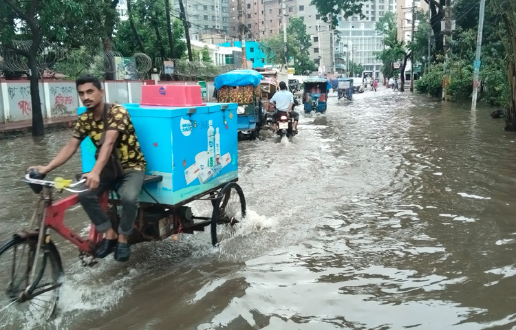 রিকশা চালক আবুল হোসেন বলেন, ঢাকাসহ অনেক শহরে রিকশা চালিয়েছি। কুমিল্লার মতো এমন আজব শহর কোথাও দেখিনি। সামন্য বৃষ্টিতেই সড়কে পানি জমে যায়। এরপরও পেটের দায়ে গাড়ি নিয়ে বের হতে হয়।
