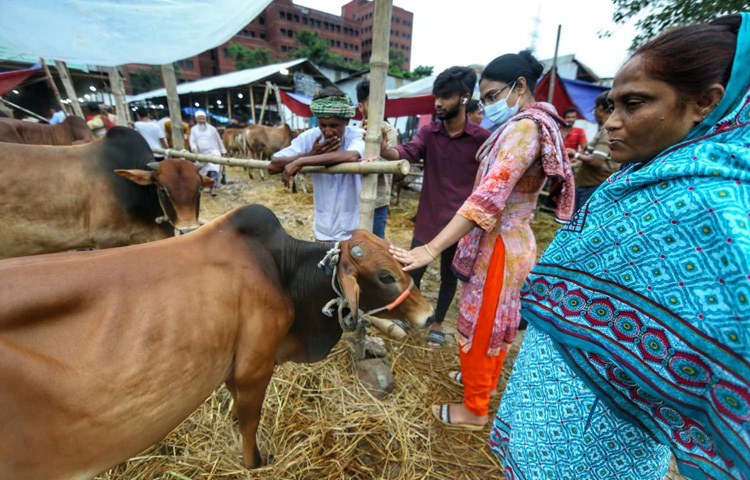 শহরের নানা প্রান্ত থেকে আসা মানুষজন পছন্দের গরু খুঁজতে ছুটে আসছেন মেরুল বাড্ডায়, কেউ দেখছেন, কেউ দর কষছেন, কেউবা কিনে ফেলার পর গরুর গলায় তুলে দিচ্ছেন নতুন দড়ি।